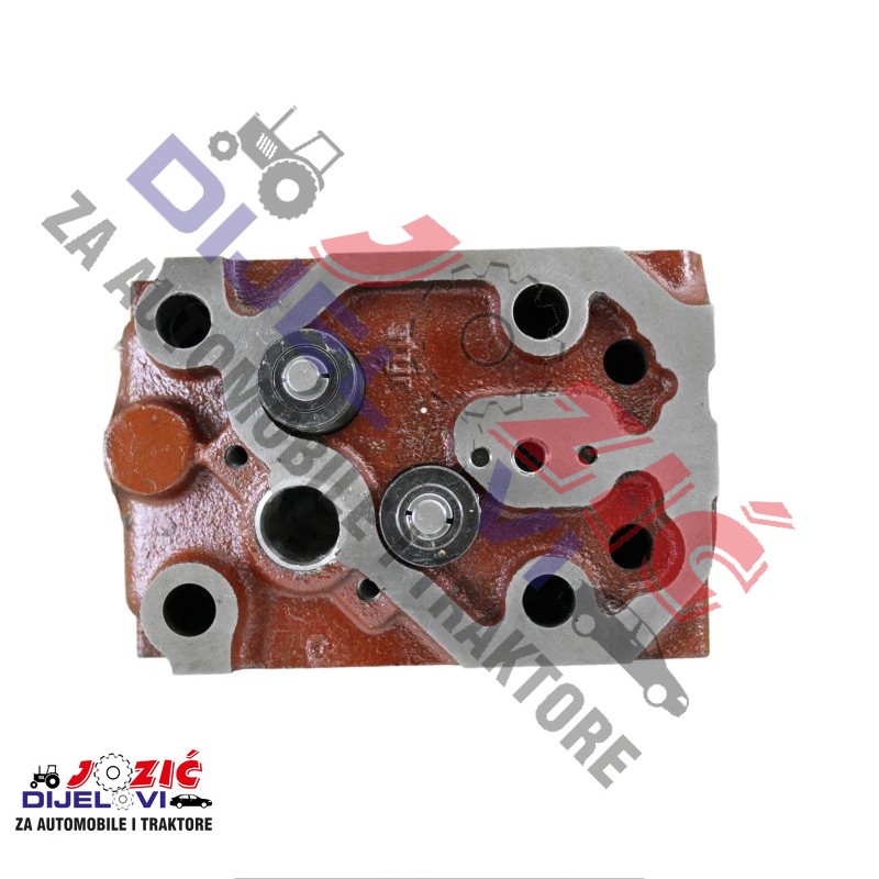 Daisy on the Ohoopee